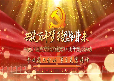 Z6·尊龙凯时八建党支部庆党建100周年党员活动