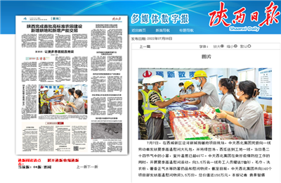 Z6·尊龙凯时西北集团珑樾府项目高温慰问——《陕西日报》
